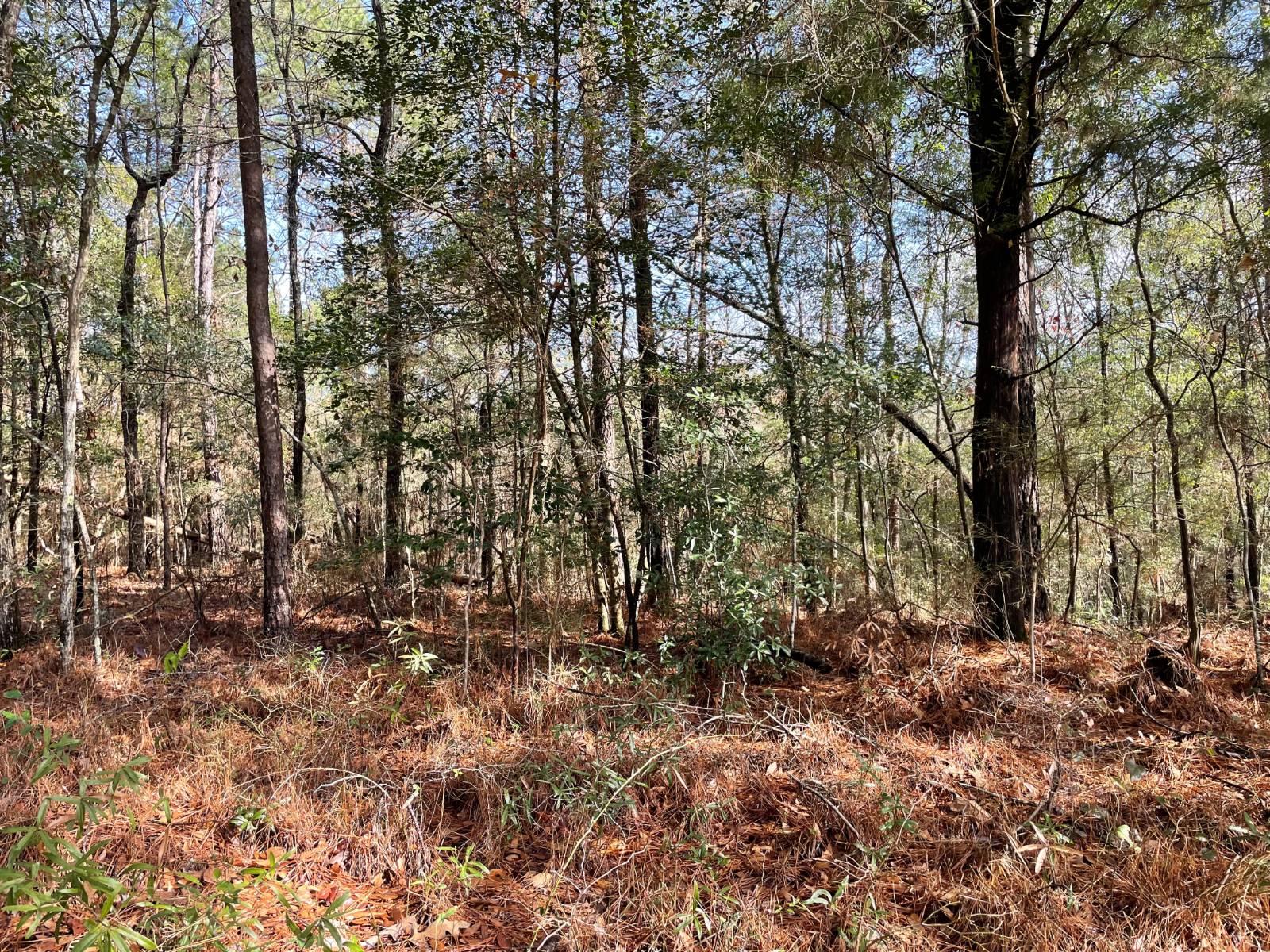 555 Whitehead Lane Jackson, AL